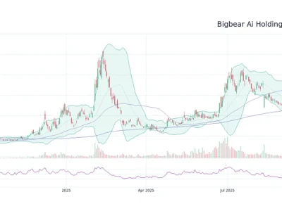 BBAI Stock: Why a Top Investor is Urging Caution