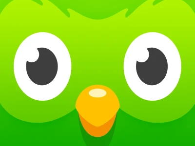 Duolingo Stock Plunge: Why the Drop and Reddit Reactions